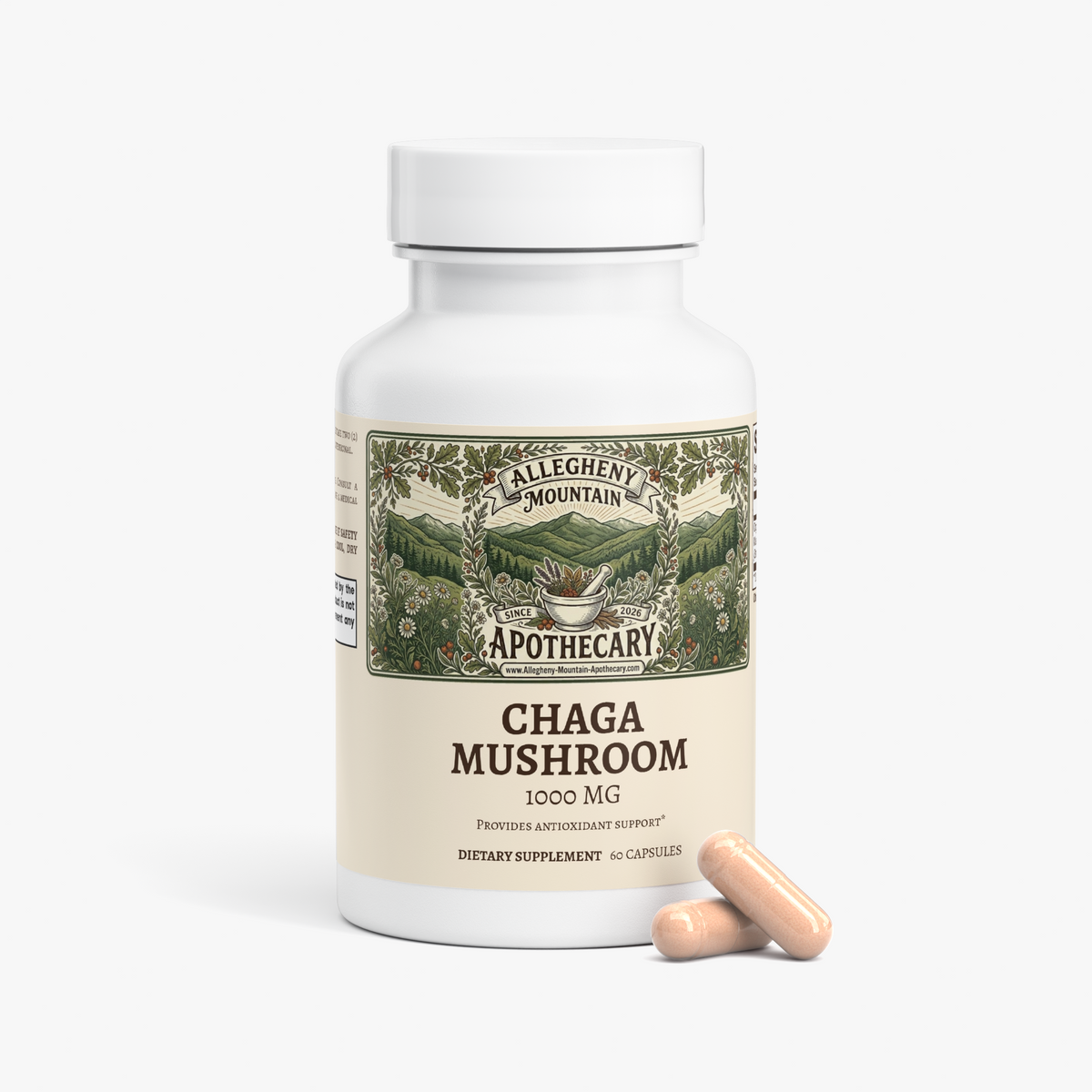 Chaga Mushroom