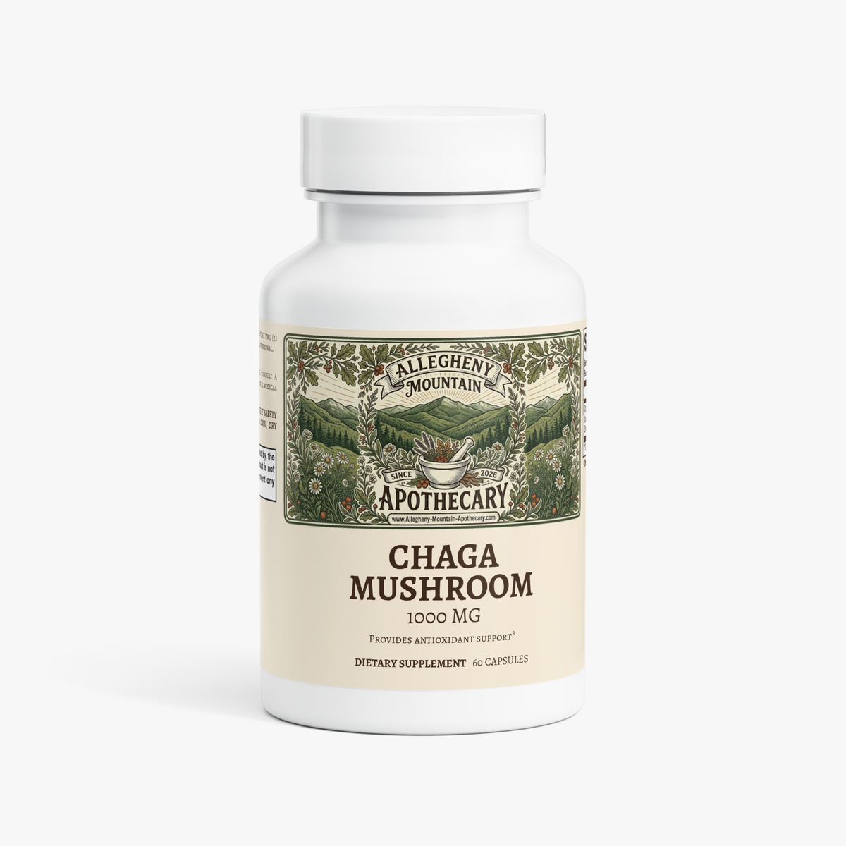 Chaga Mushroom