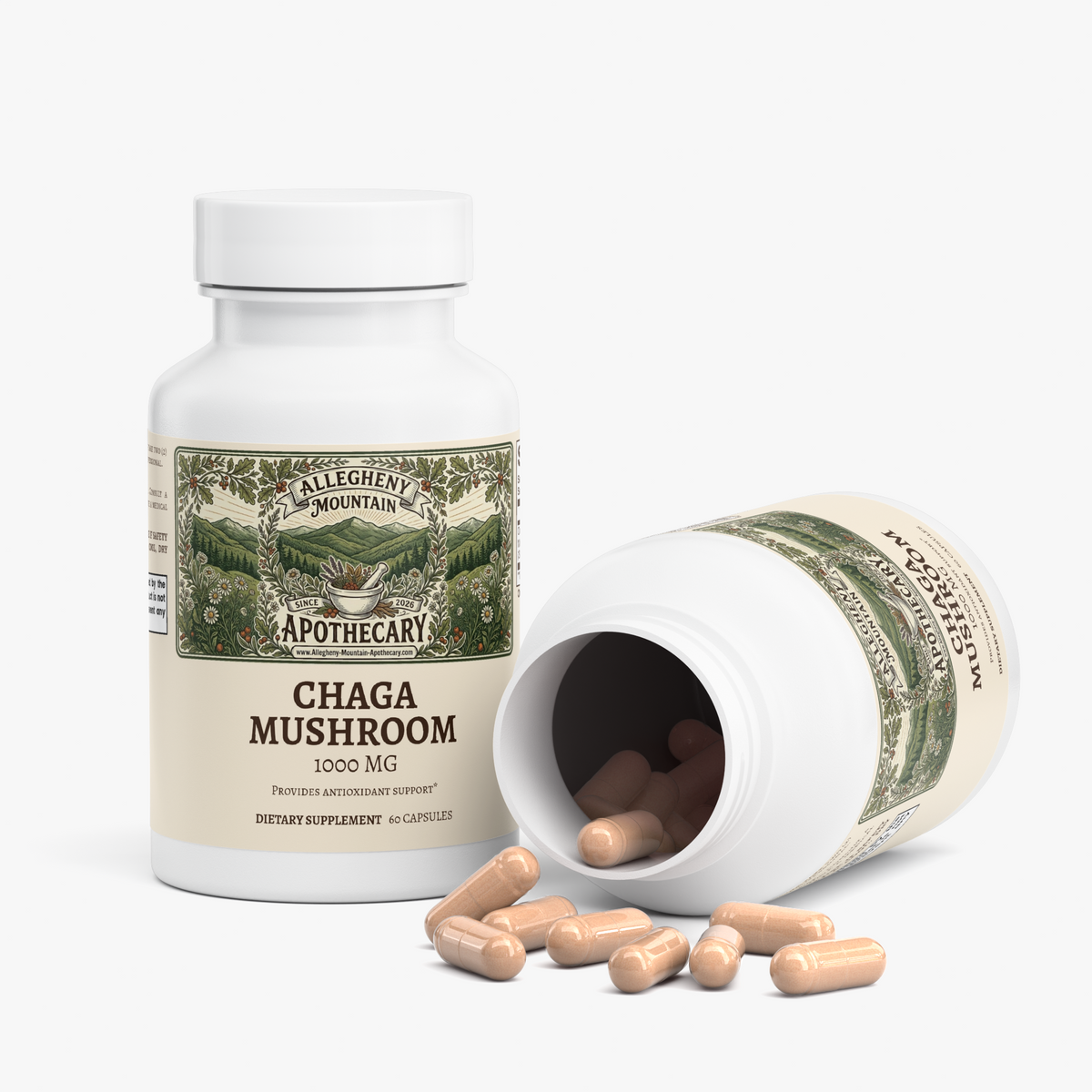 Chaga Mushroom